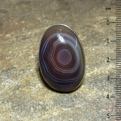 Botswana Agate Ring- Size 8