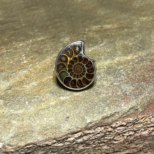 Ammonite Ring- Size 9