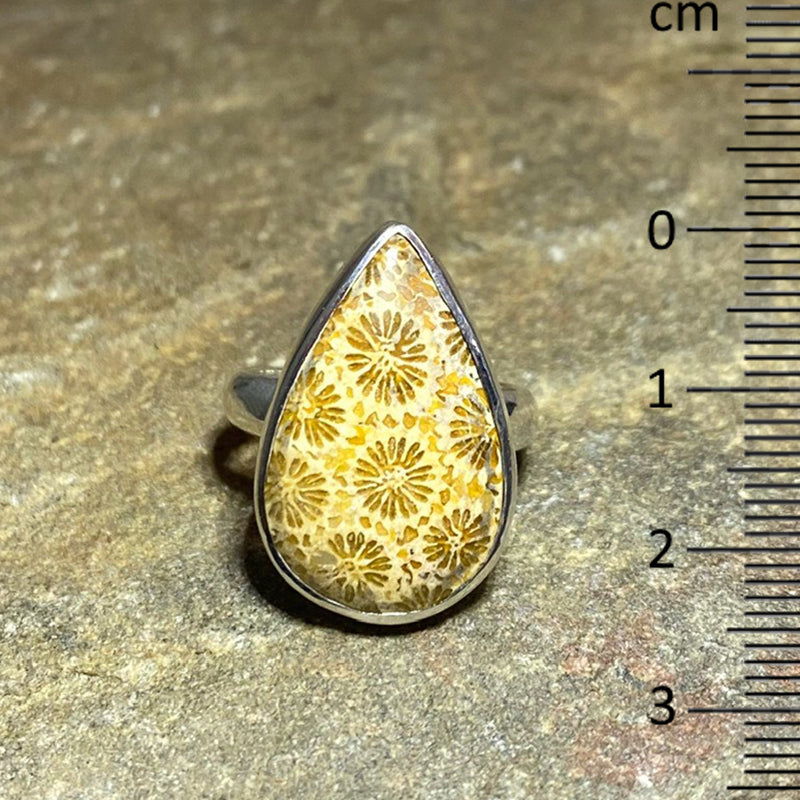 Teardrop Fossil Coral Ring- Size 8