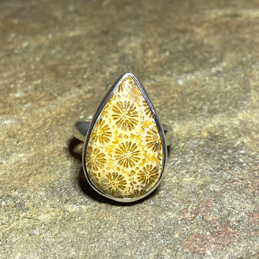 Teardrop Fossil Coral Ring- Size 8