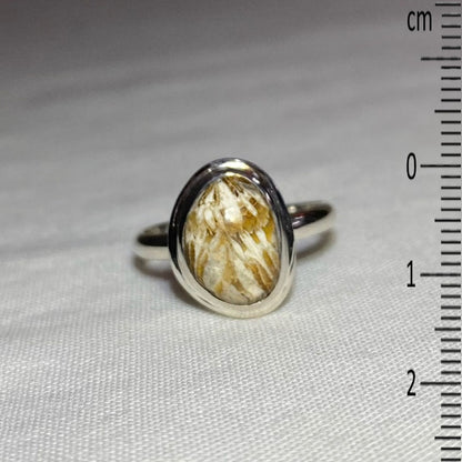 Freeform Fossil Coral Ring- Size 8