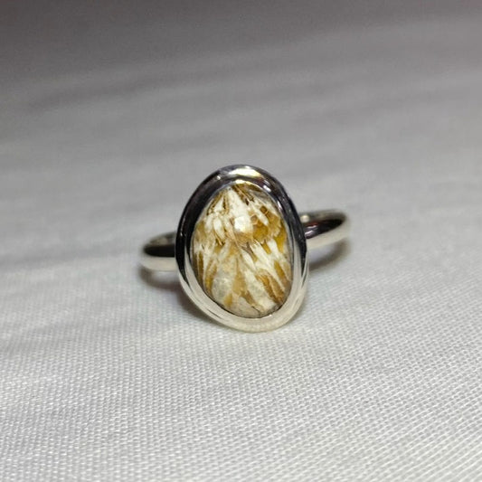 Freeform Fossil Coral Ring- Size 8