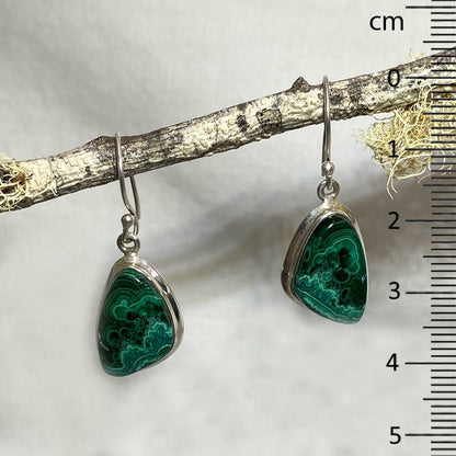 Freeform Chrysocolla & Malachite Earrings