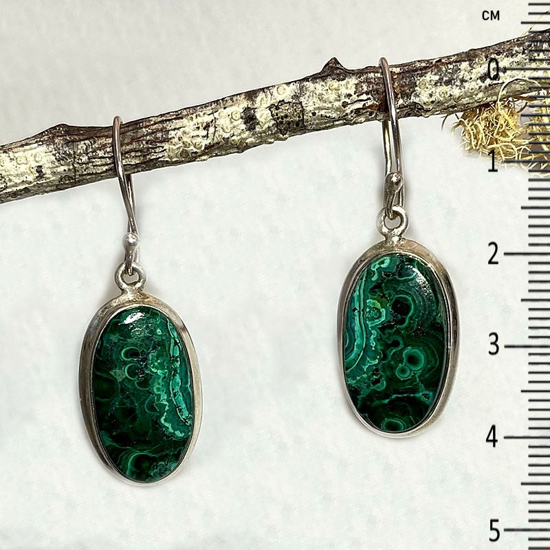 Oval Chrysocolla & Malachite Earrings