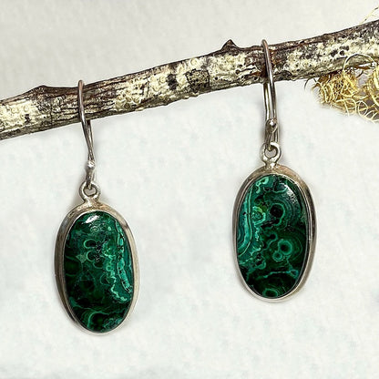 Oval Chrysocolla & Malachite Earrings