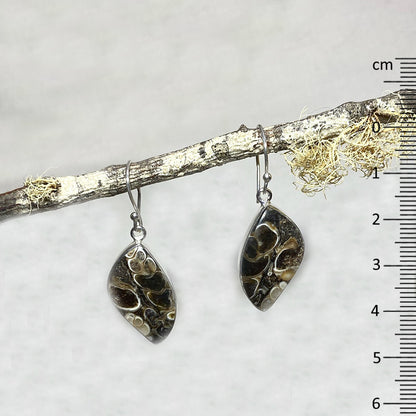 Freeform Turitella Agate / Jasper Earrings