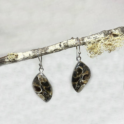 Freeform Turitella Agate / Jasper Earrings