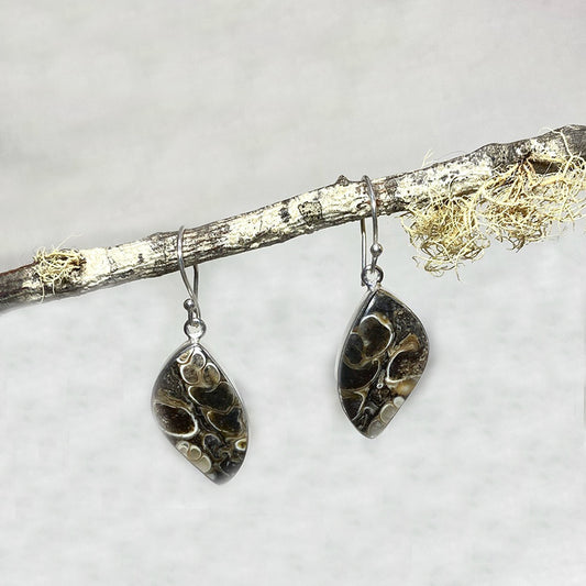 Freeform Turitella Agate / Jasper Earrings