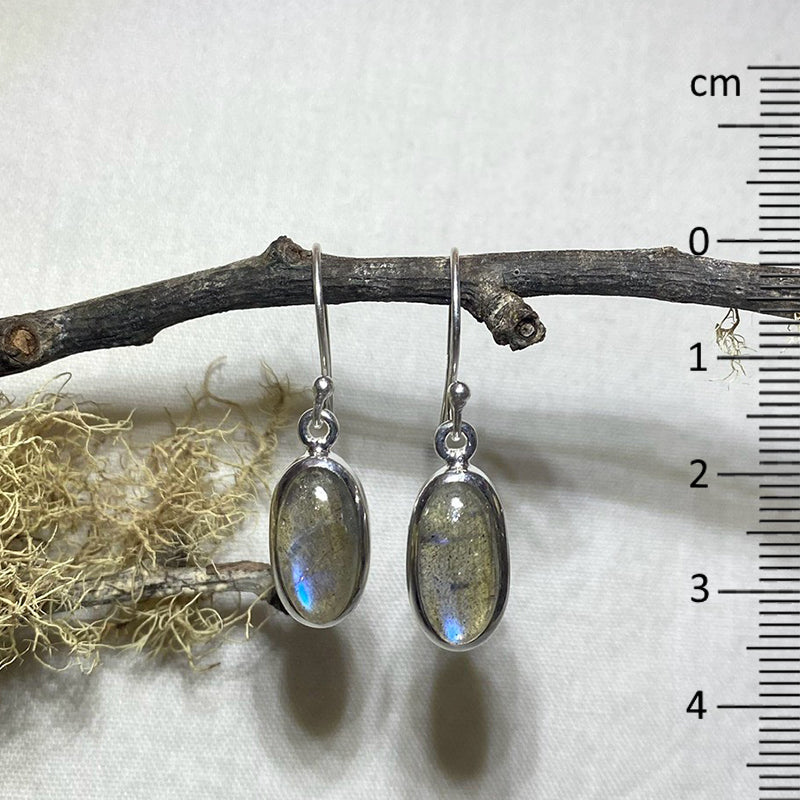 Blue Flash Oval Labradorite Earrings