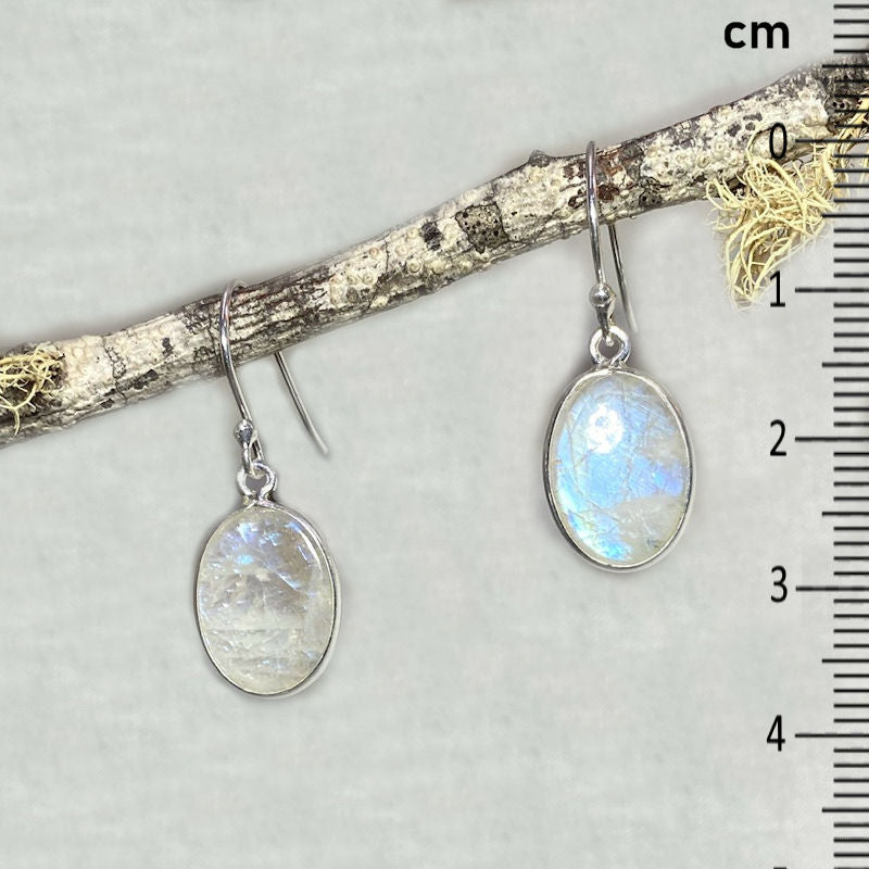 Oval Rainbow Moonstone Earrings