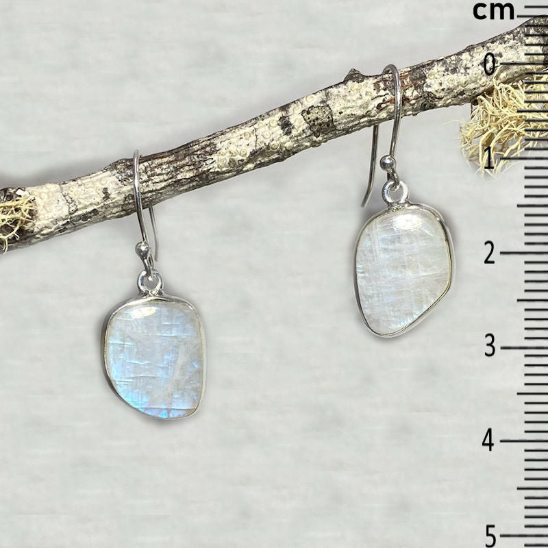 Freeform Rainbow Moonstone Earrings