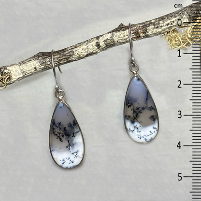 Teardrop Dendritic Opal Earrings