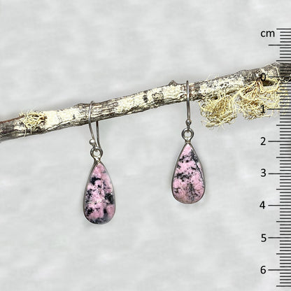 Teardrop Rhodonite Earrings