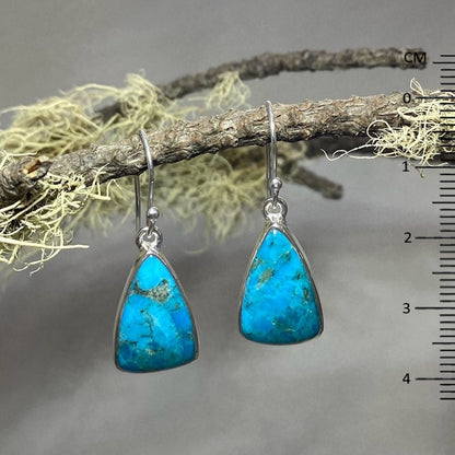 Triangle Turquoise Earrings