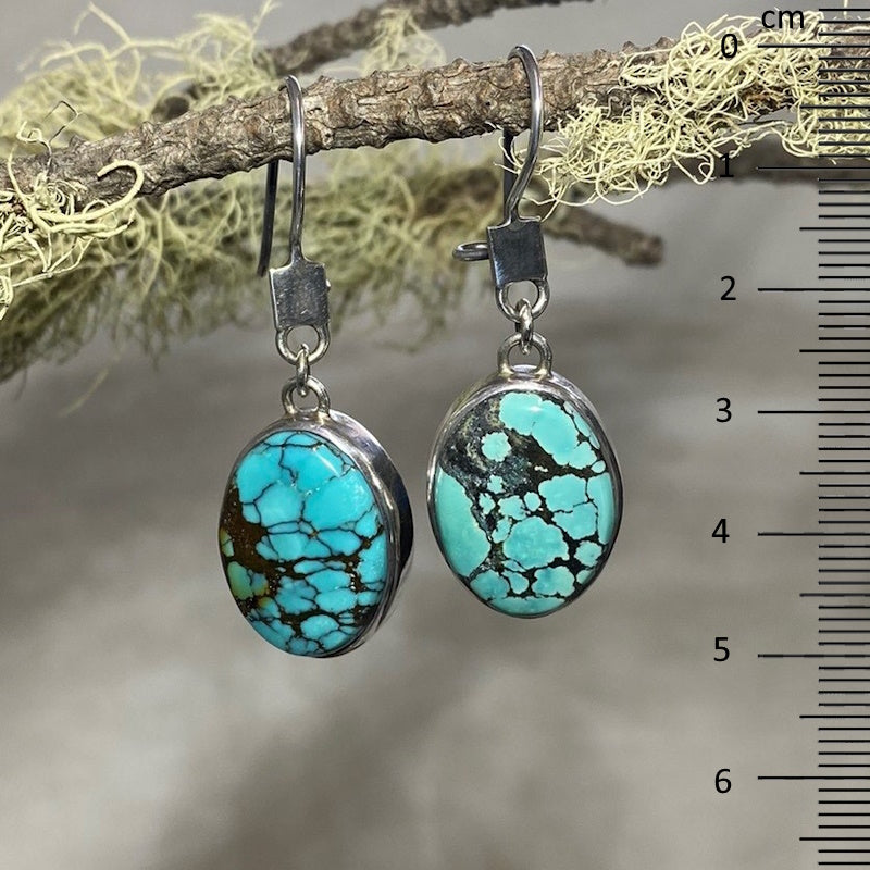 Oval Turquoise Earrings With Safety Hook (French Lever)