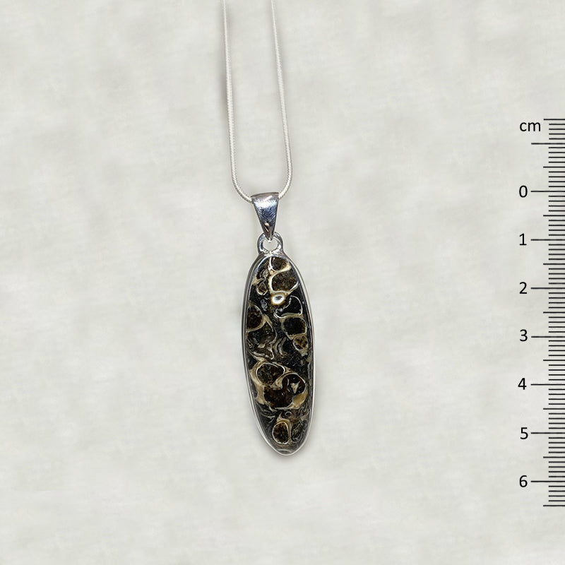 Oval Turitella Agate/ Jasper Pendant