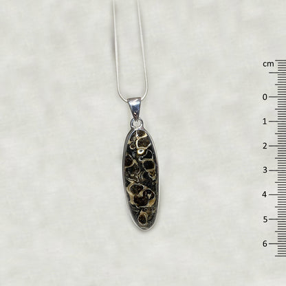 Oval Turitella Agate/ Jasper Pendant