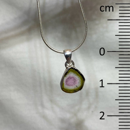 Freeform Watermelon Tourmaline Pendant