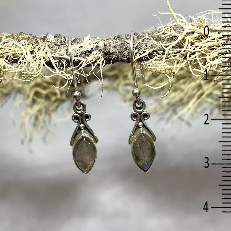 Pear Shaped Labradorite Earrings