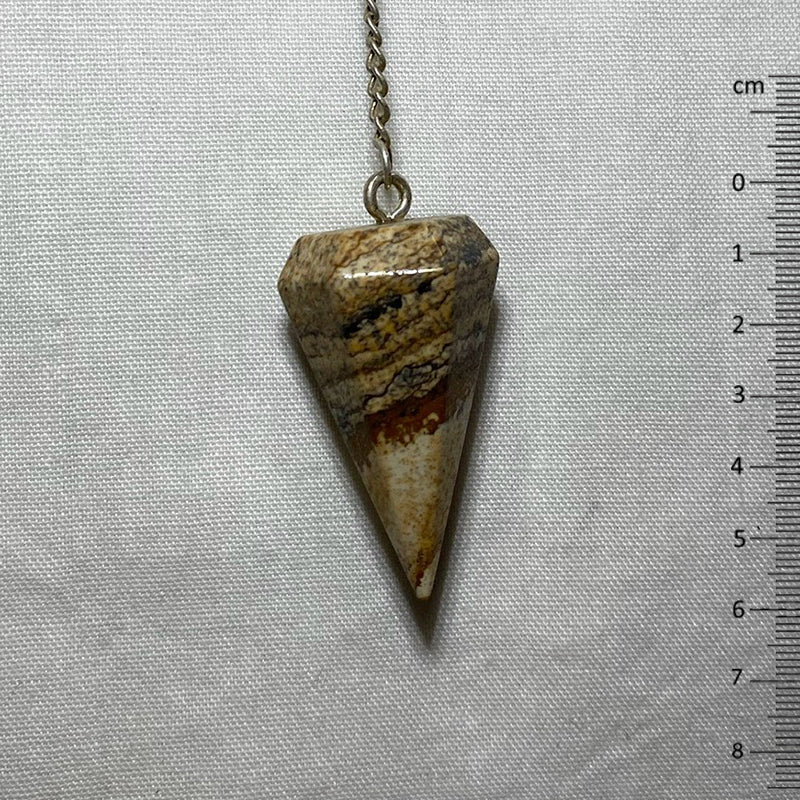 Picture Jasper Pendulum