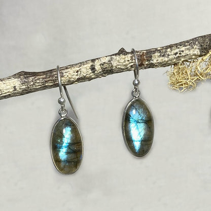 Oval Labradorite Earrings