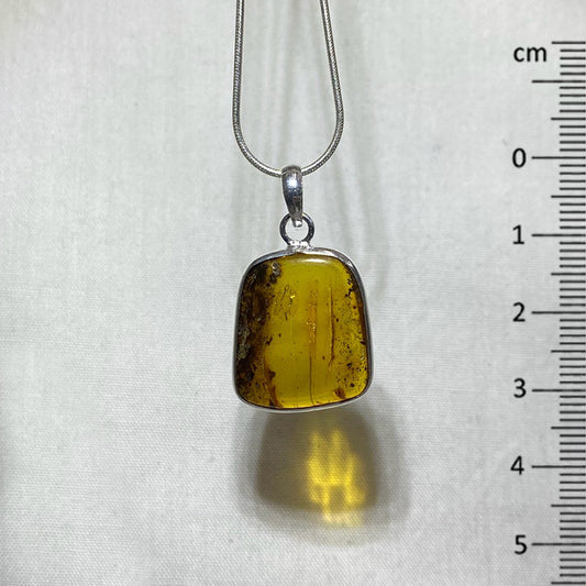 Freeform Amber Pendant