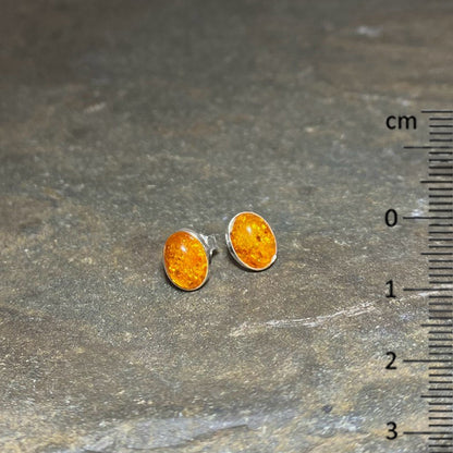 Oval Amber Stud Earrings