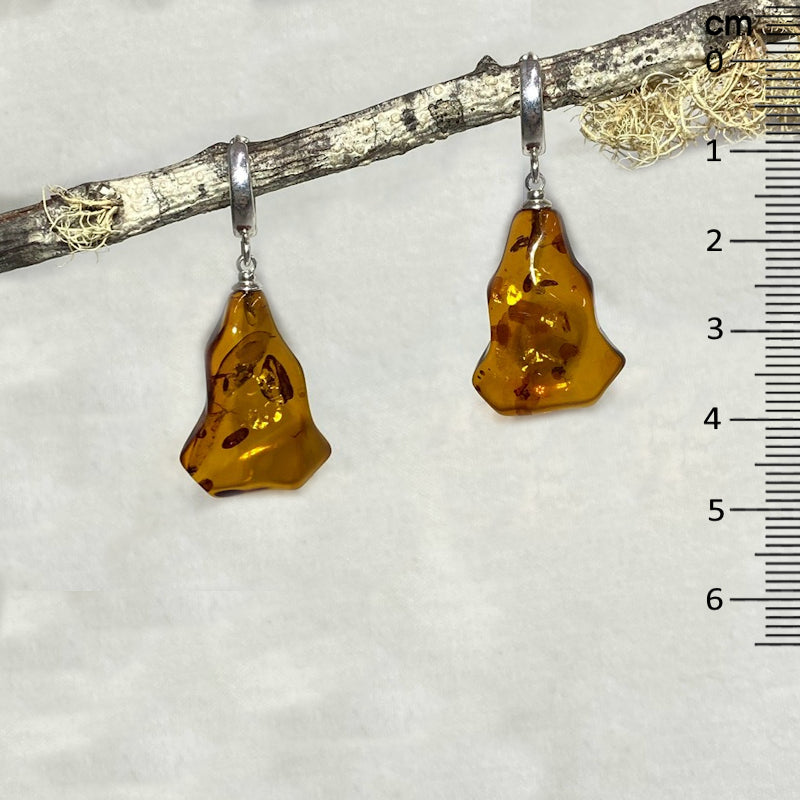 Freeform Amber Earrings