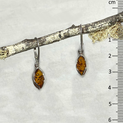 Marquese Amber Earrings
