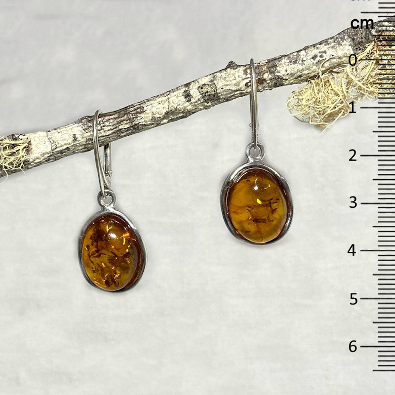 Oval Amber Earrings
