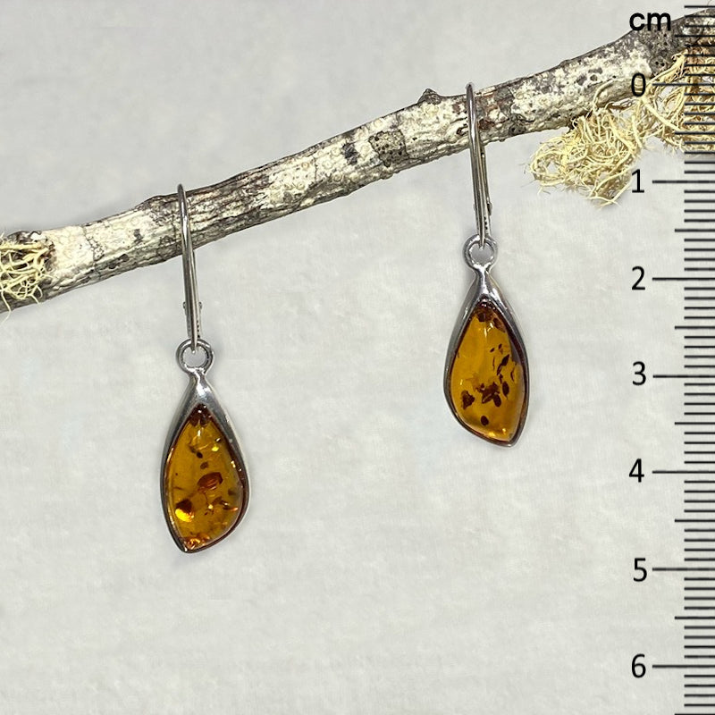 Freeform Amber Earrings