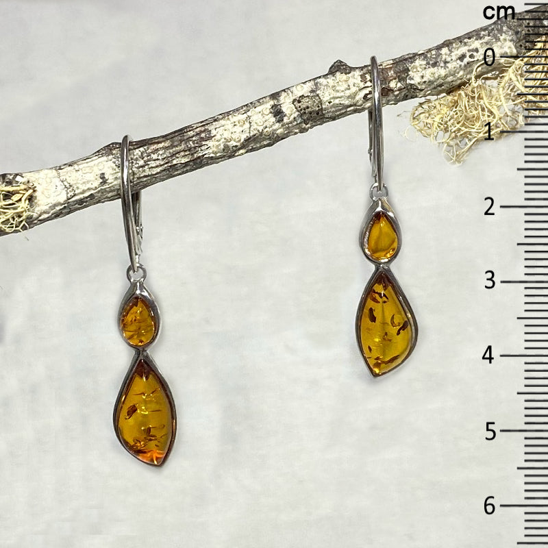 Teardrop & Freeform Amber Earrings