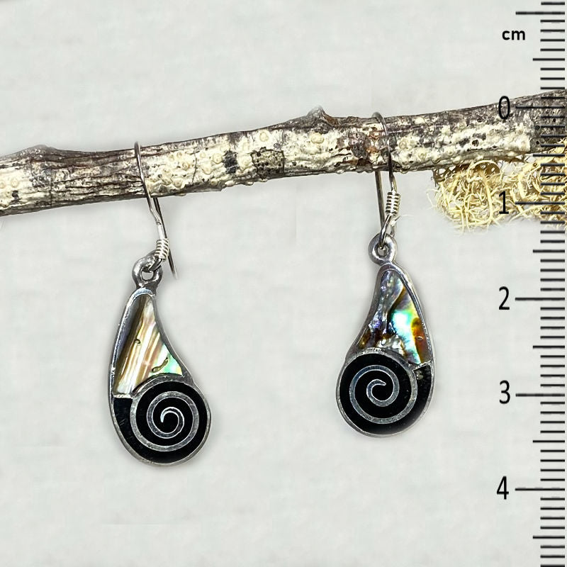 Paua Shell Earrings