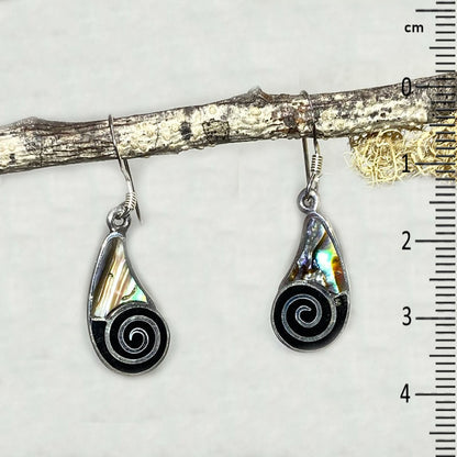 Paua Shell Earrings