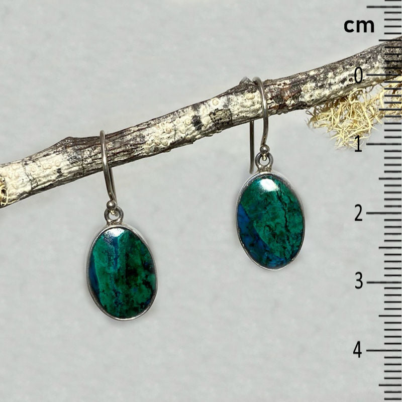Oval Chrysocolla Earrings