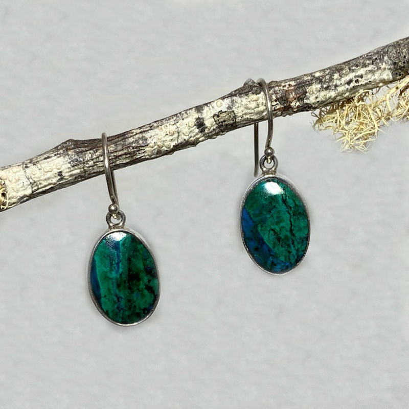 Oval Chrysocolla Earrings