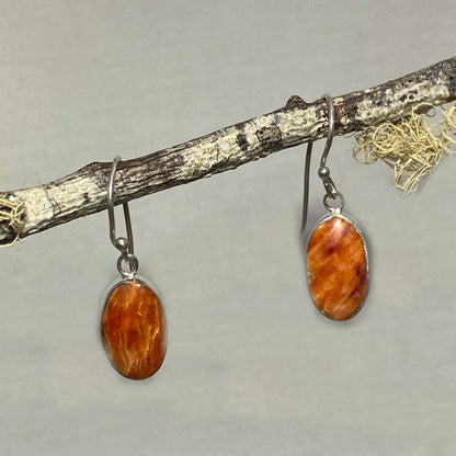 Oval Spondylus Shell Earrings