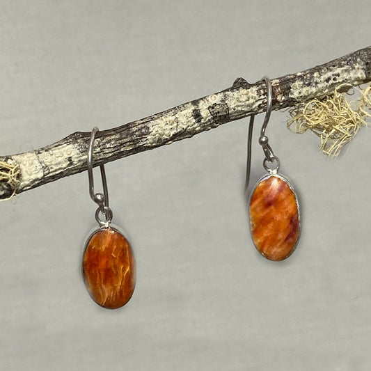 Oval Spondylus Shell Earrings